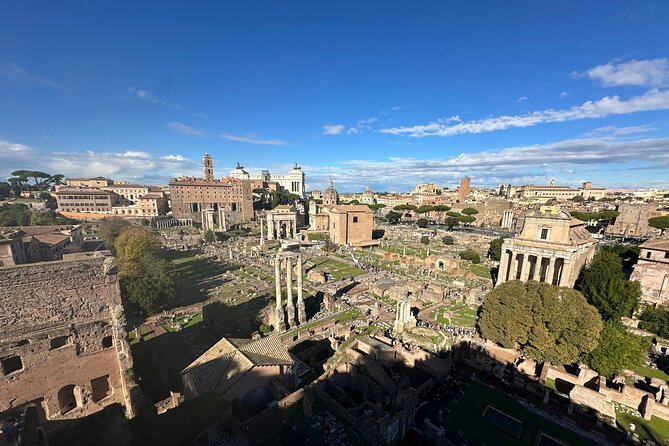 Ancient Rome Discovery: Colosseum, Forum, Palatine Guided Tour - Is $156 a fair price?