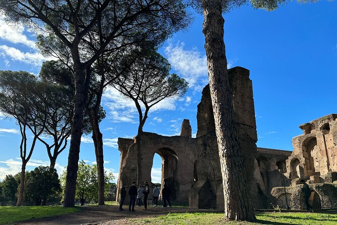 Ancient Rome Discovery: Colosseum, Forum, Palatine Guided Tour - Meeting point, timing, and identification