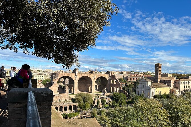 Ancient Rome Discovery: Colosseum, Forum, Palatine Guided Tour - Who will get the most from this tour?