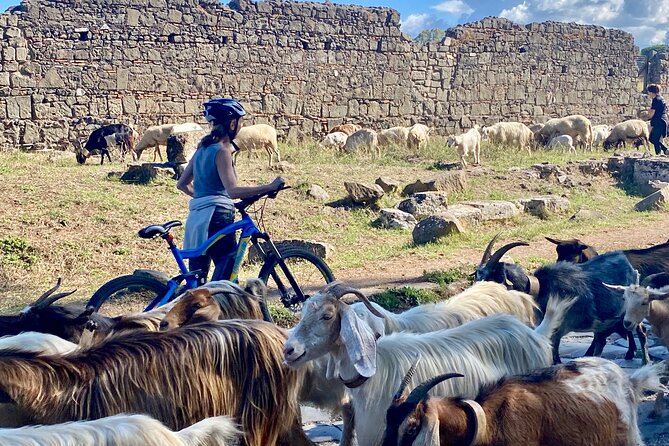 Appian Way & Aqueducts small group e-bike tour(catacombs & food) - Parco degli Acquedotti and Rome’s enormous water system
