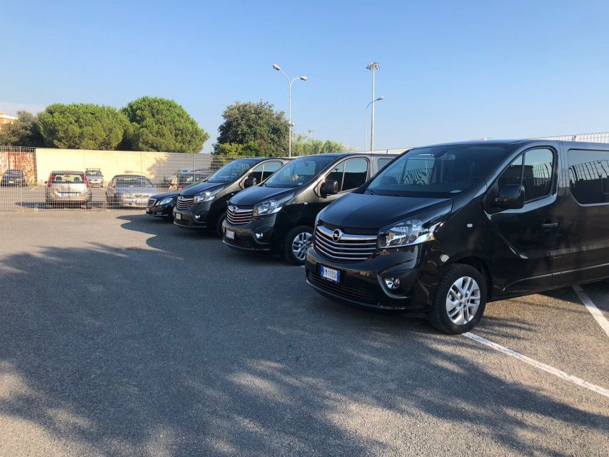 Civitavecchia Port: Private or Shared Guided Tour of Rome - Trevi Fountain and the Spanish Steps