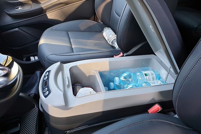 Civitavecchia Private Transfer: From the Port to Rome Airport - Driver communication and safety