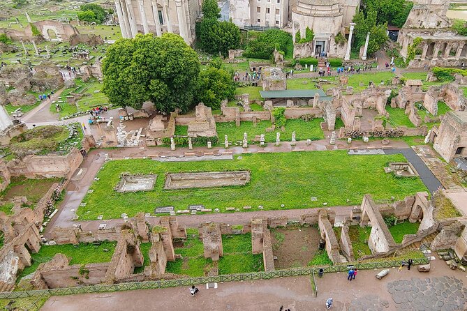 Colosseum & Ancient Rome Guided Walking Tour - Walking through the Roman Forum