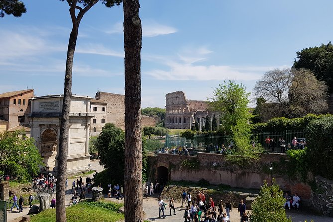 Colosseum Arena Floor, Roman Forum and Palatine Hill Guided Tour - Meeting point, timing, and real-world complications