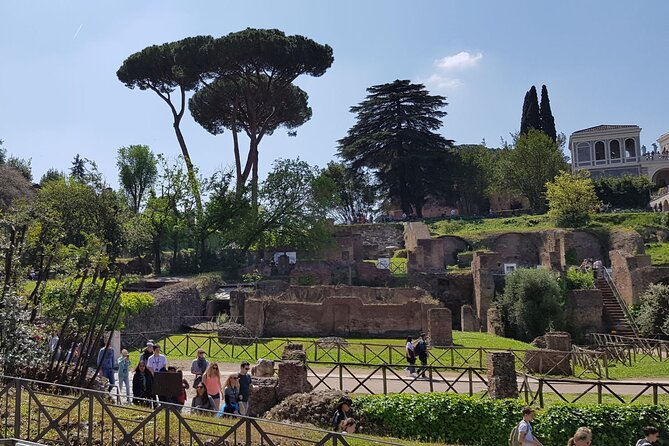 Colosseum Arena Floor Roman Forum and Palatine Hill Live Guide - Roman Forum: where the ruins need a guide