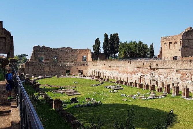 Colosseum Arena Floor Roman Forum and Palatine Hill Live Guide - Heat, crowds, and what to pack