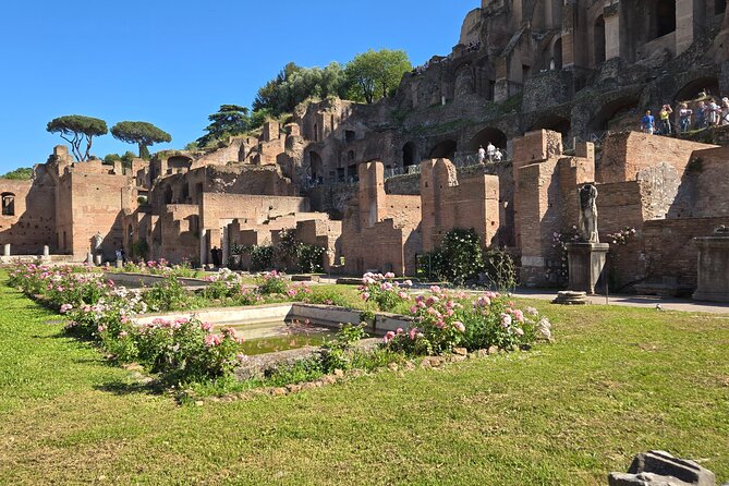 Colosseum Arena Floor, Roman Forum & Palatine Hill Guided Group Tour - Heat, Stairs, and the Reality of Ancient Ruins