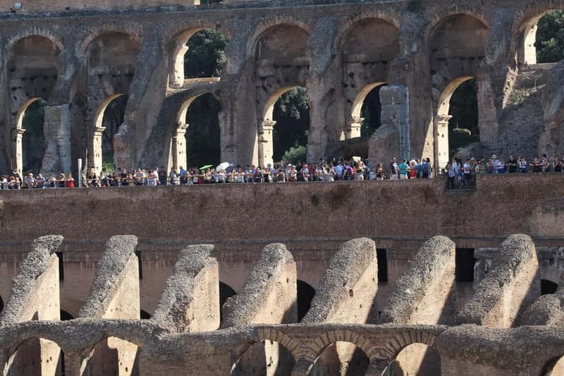 Colosseum, Forum & Palatine Hill Guided Walking tour - Reading the Roman Forum in One Hour