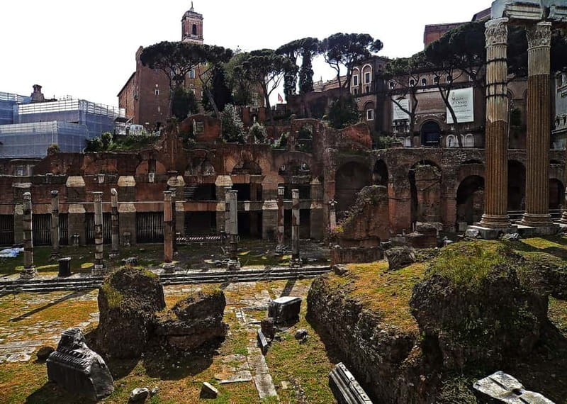 Colosseum, Forum & Palatine Hill Guided Walking tour - What the Guides Add