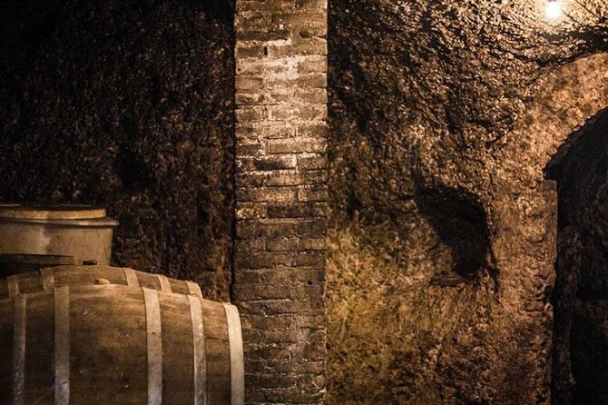 Frascati Day Tour: Road from Rome with Wine Tasting & Lunch - Getting from Termini to Frascati by train