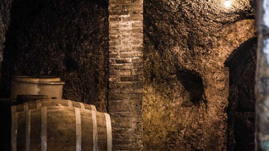 Frascati Wine Road from Rome: Tasting & Lunch - Lunch in a traditional trattoria