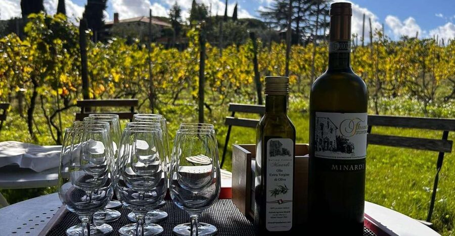 From Rome: Half-Day Frascati Wine Tour with Farmhouse Lunch - Why Frascati makes a better wine escape than you might expect