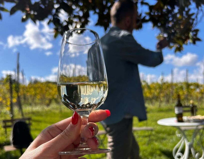 From Rome: Half-Day Frascati Wine Tour with Farmhouse Lunch - Three wines, olive oil, and the old cellar