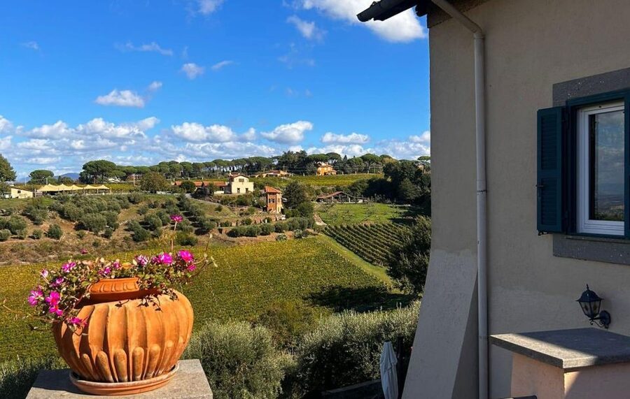 From Rome: Half-Day Frascati Wine Tour with Farmhouse Lunch - Guitar music and the social side of the farmhouse