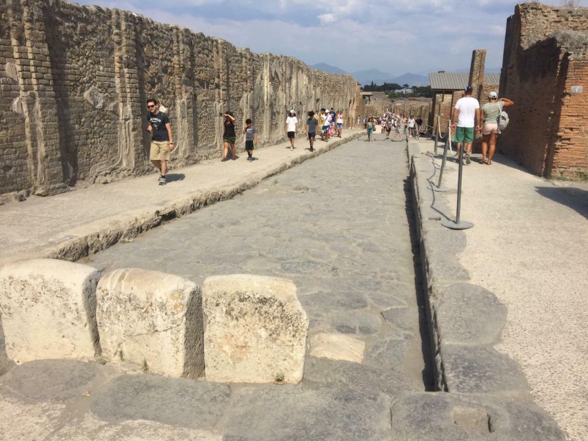 From Rome: Pompeii All-Inclusive Tour with Live Guide - Who will get the most from this day