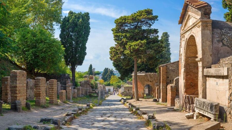 From Rome: Pompeii and Naples Day Trip by High-Speed Train - Walking, weather, and practical preparation