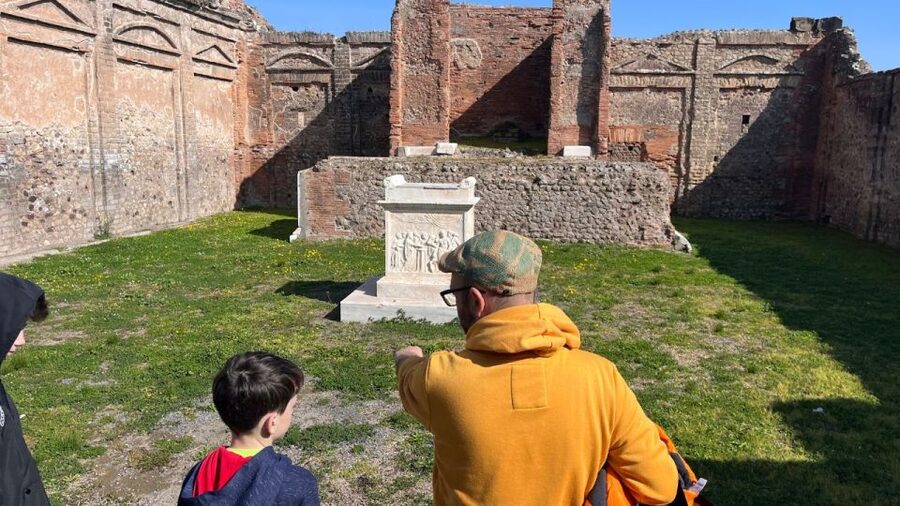 From Rome: Pompeii and Naples Day Trip by High-Speed Train - Seeing Naples from Posillipo to the historic center