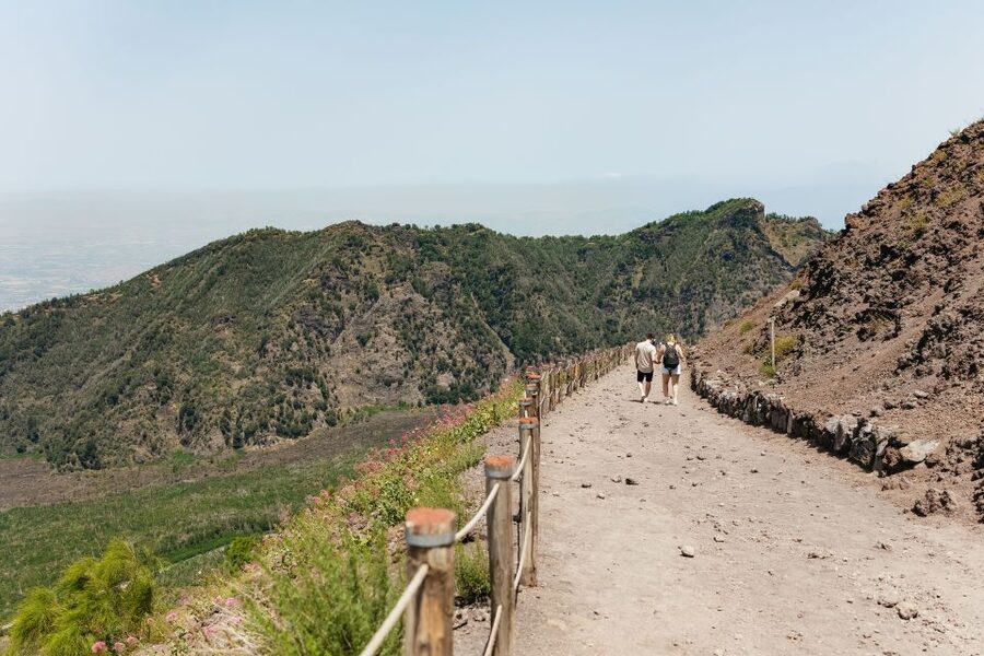 From Rome: Pompeii Day Trip with Optional Vesuvius and Lunch - Key things to know before booking