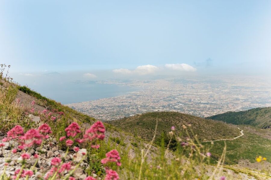 From Rome: Pompeii Day Trip with Optional Vesuvius and Lunch - Adding lunch with views over the Bay of Naples
