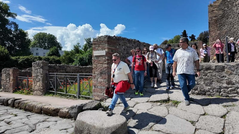 From Rome: Pompeii Ruins Tour with Expert Guide & Fast Train - What two hours inside the ruins can show you