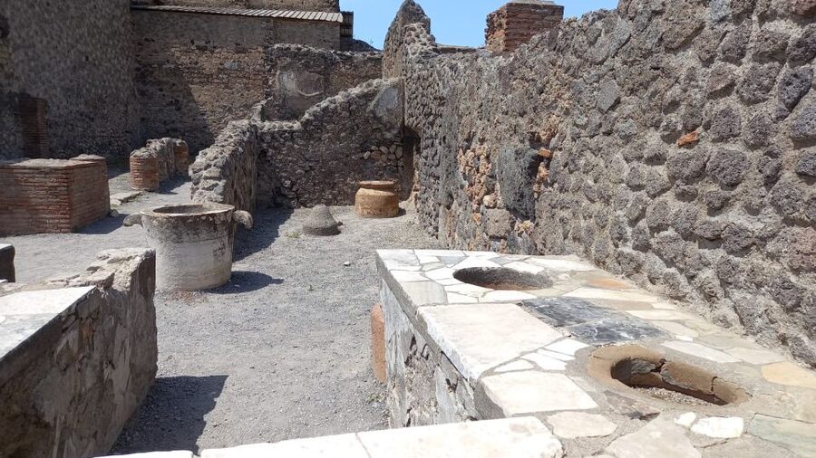 From Rome: Sorrento & Pompeii Day Tour with Hotel Pickup - Who should book this day trip