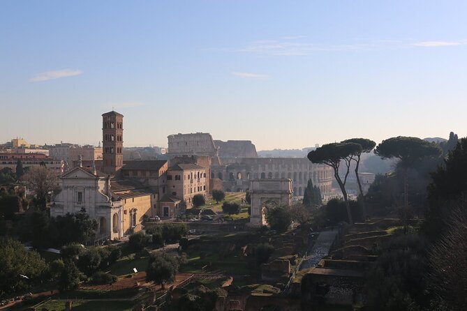 Guided Tour of the Colosseum, Forum and Palatine Hill - Roman Forum: the tour’s largest history lesson
