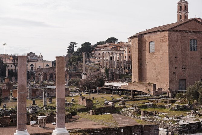 Guided Tour of the Colosseum, Forum and Palatine Hill - The guides make the biggest difference