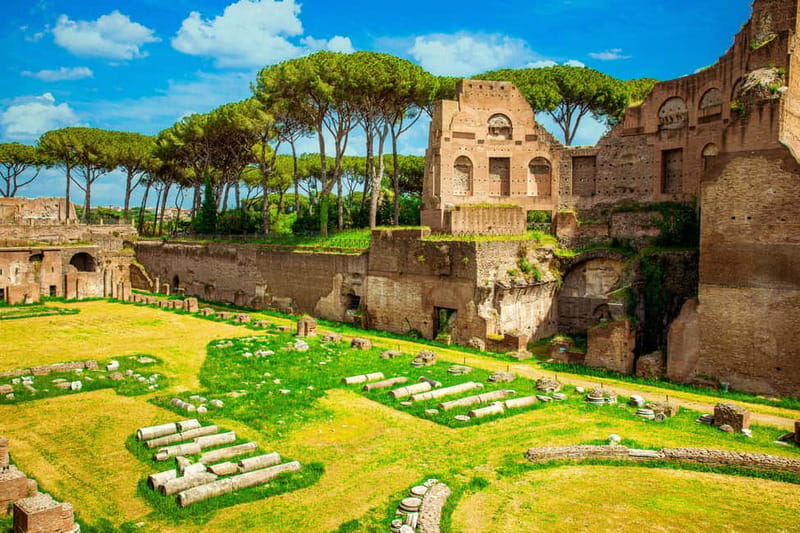 Guided Tour of the Colosseum Palatine Hill and Roman Forum - Heat, Weather, and Walking Conditions