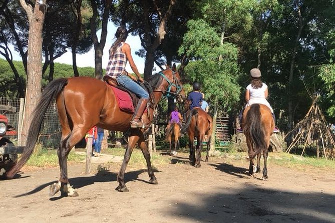 Horse Sanctuary & Trail Ride in Ostia Antica - Price and overall value at $106.47