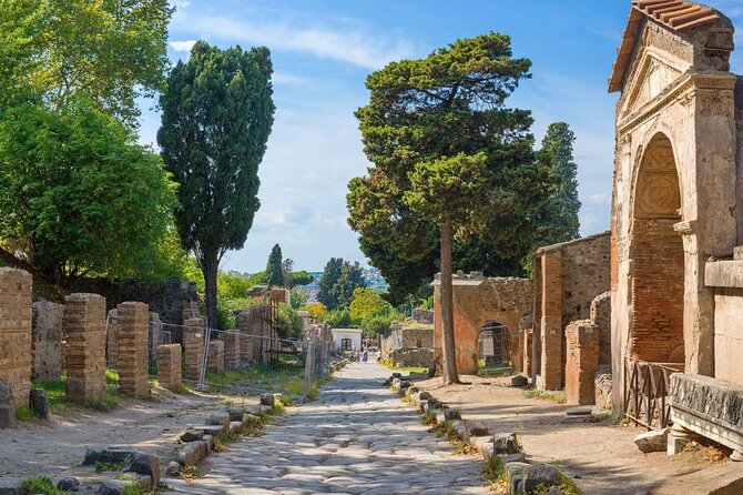 Pompeii and Naples Tour from Rome by Train with Lunch - Naples by coach, guide, and free time