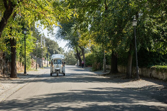 Private Electric Tuktuk Tour of Rome with Prosecco and Pickup - Rione Monti, Rome’s old neighborhood character