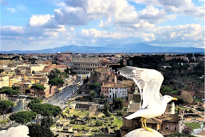 Private Rome WOW Tour in 1 Day: Luxury Car, Guide, Tkts & Lunch! - Seeing the Roman Forum from the outside
