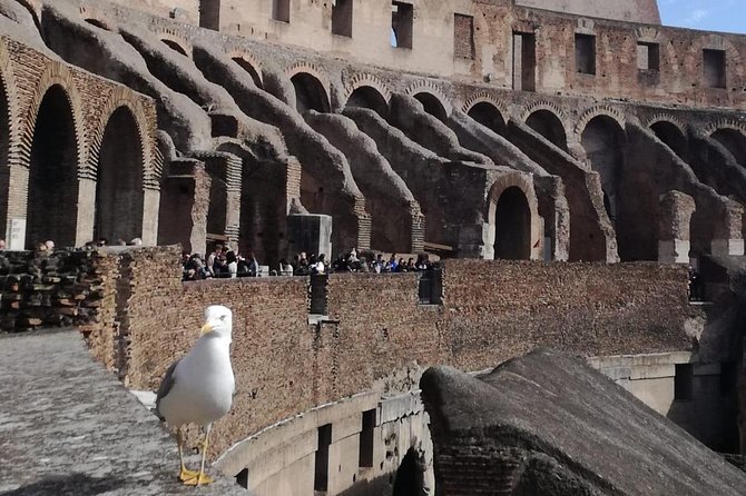 Private tour of Colosseo - A private start beside Piazza del Colosseo