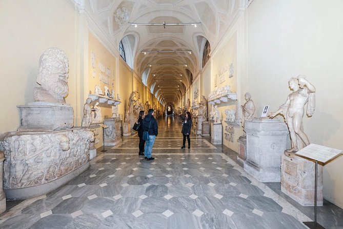 Private Vatican Museums and St. Peter's Basilica Early Bird Tour - The Vatican Museums: a first look at the great galleries