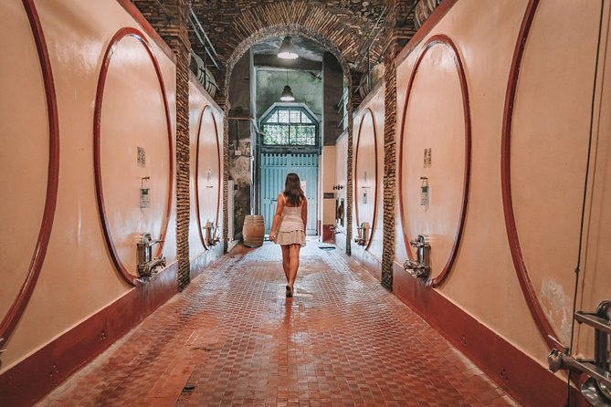 Roman countryside Food & Wine Tasting in a medieval winery - Entering Cantina Castello di Torre in Pietra