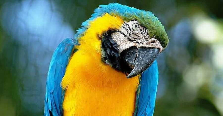 Rome: Bioparco di Roma Zoological Garden Entry Ticket - Food, picnics, and practical comfort