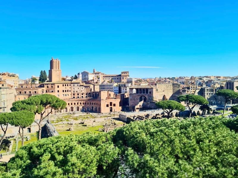 Rome: Colosseum Arena Guided Tour, Forum & Palatine Option - Starting at Santi Cosma e Damiano