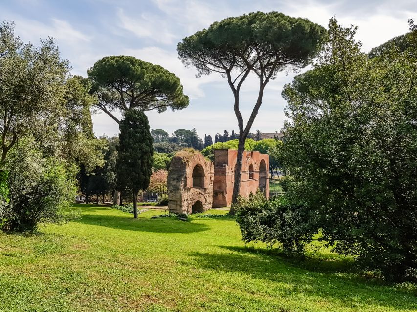 Rome: Colosseum Arena, Palatine Hill & Forum Guided Tour - The Arch of Constantine and the best photo angles
