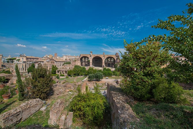 Rome: Colosseum Arena, Roman Forum & Palatine Hill Tour - How the three-hour schedule really feels