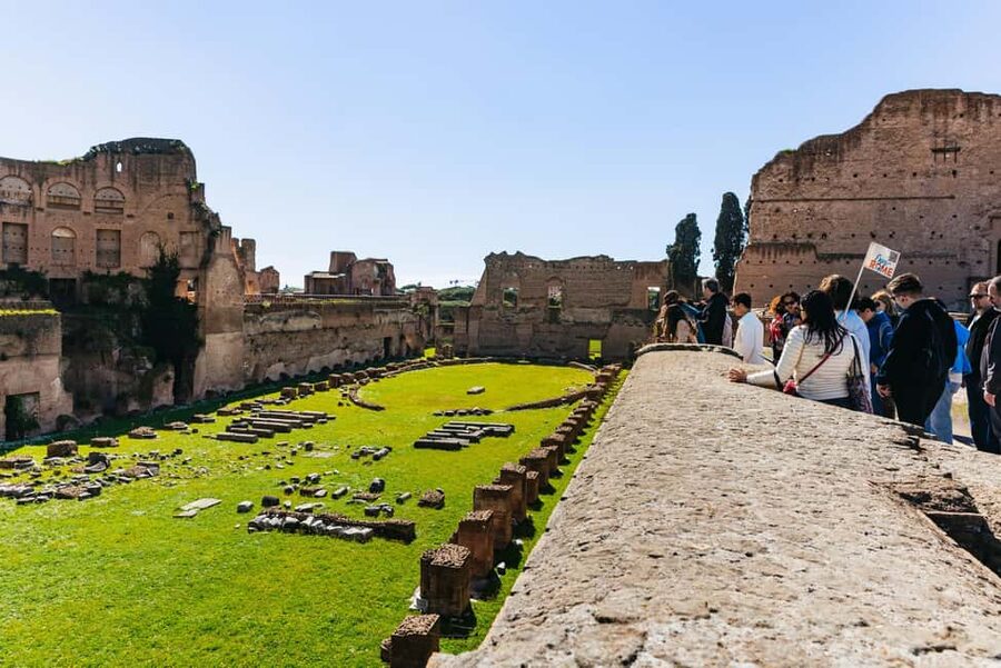 Rome: Colosseum, Forum & Palatine Hill Tour & Optional Arena - Who should book this Colosseum tour?