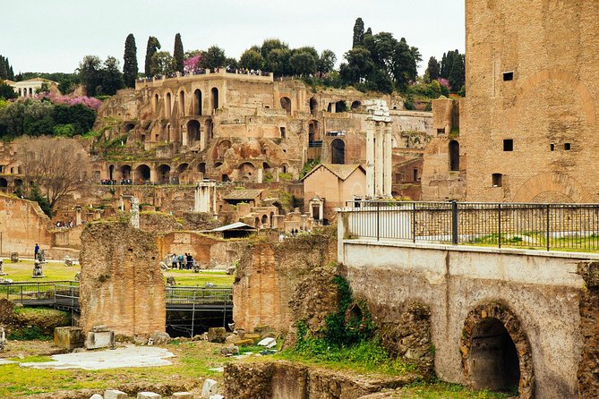 Rome Colosseum & Forum PRIVATE TOUR with a Local Private Guide - Walking the Roman Forum for one hour