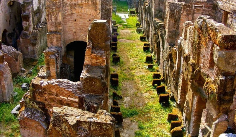 Rome: Colosseum Gladiator's Arena and Roman Forum Tour - The Roman Forum, where Rome becomes easier to understand