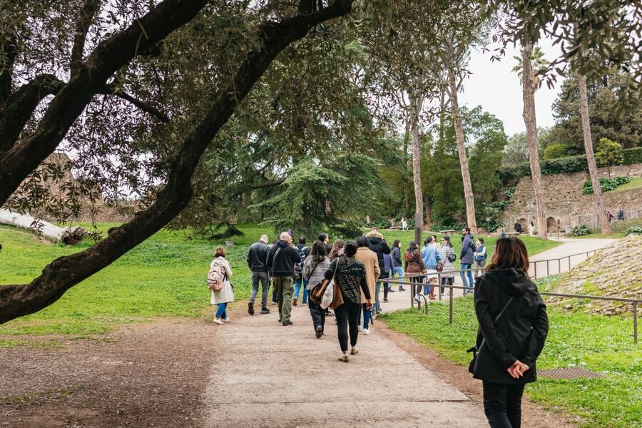 Rome: Colosseum, Palatine Hill & Roman Forum Guided Tour - Entering the Colosseum through priority access