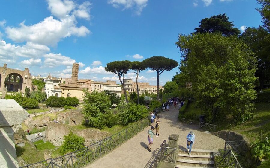 Rome: Colosseum, Roman Forum, and Palatine Hill Tour - Timing, heat, crowds, and the route