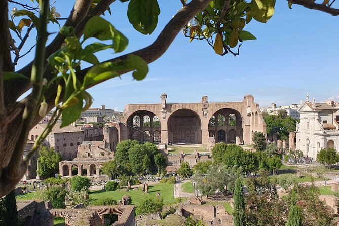 Rome: Colosseum, Roman Forum & Palatine Hill Experience - Choosing the Arena floor or Underground