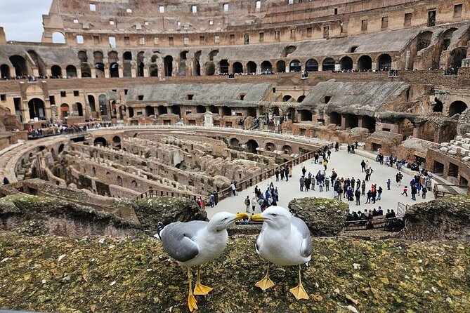 Rome: Colosseum, Roman Forum & Palatine Hill Visit + Audio Guide - Is $21.69 a fair price?