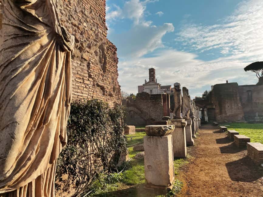 Rome: Colosseum Underground and Arena Tour - Palatine Hill: Rome from above