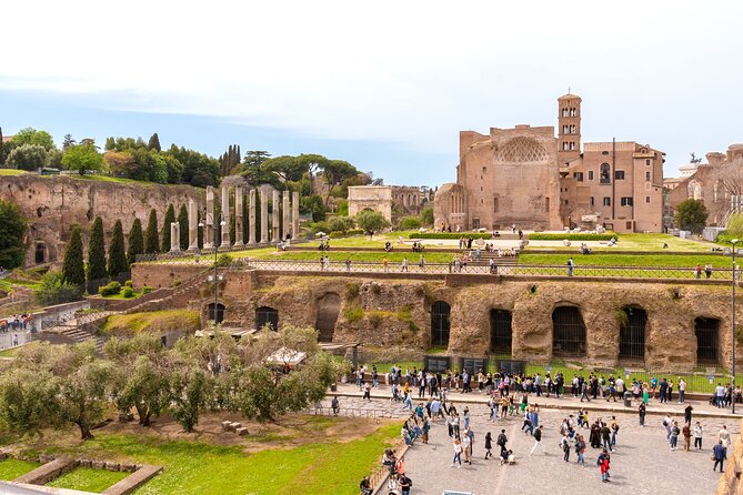 Rome: Colosseum with Roman Forum & Palatine Hill Guided Tour - The guides are the heart of the experience