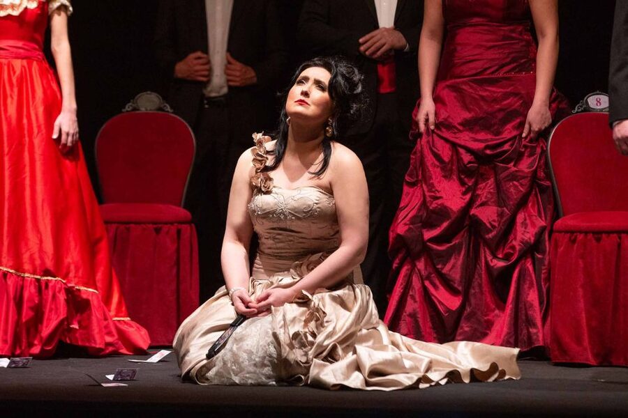 Rome: Giuseppe Verdi's "La Traviata" Live Performance - What happens during the two-hour performance