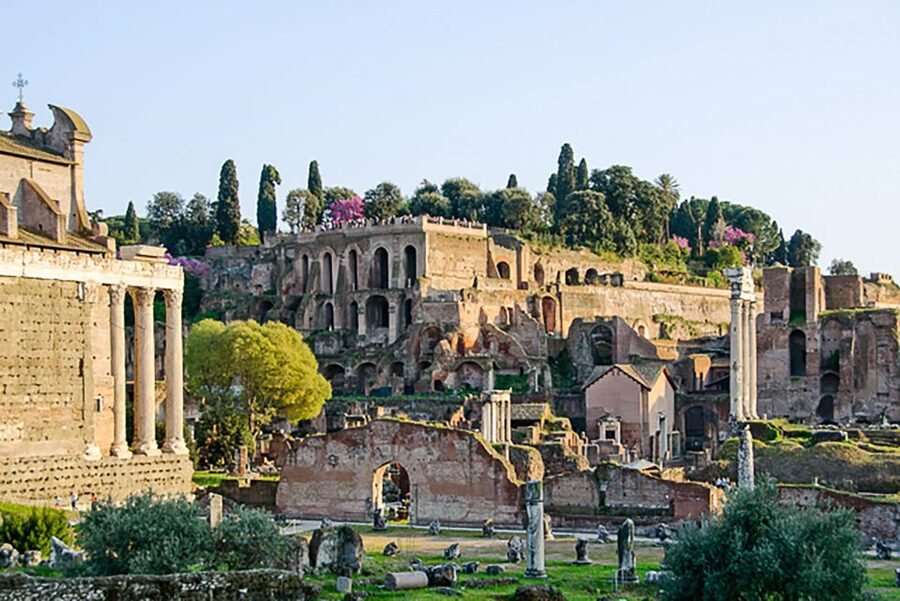 Rome: Guided Tour of Colosseum, Roman Forum & Palatine Hill - Reading the Roman Forum in 45 minutes
